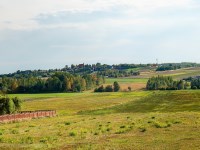 Działka Sprzedaż - świętokrzyskie, kielecki, Raków, Koziel