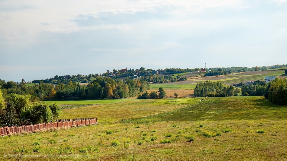 Działka Sprzedaż - świętokrzyskie, kielecki, Raków, Koziel