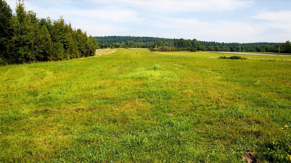 Działka Sprzedaż - świętokrzyskie, kielecki, Raków, Koziel