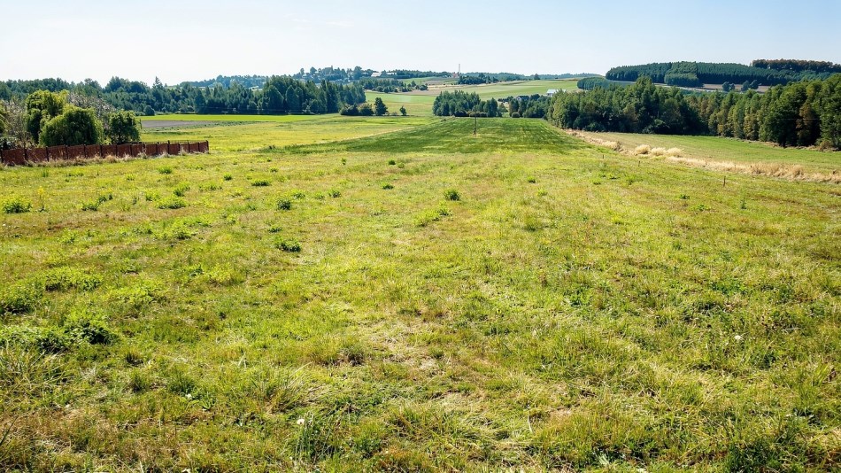 Działka Sprzedaż - świętokrzyskie, kielecki, Raków, Koziel