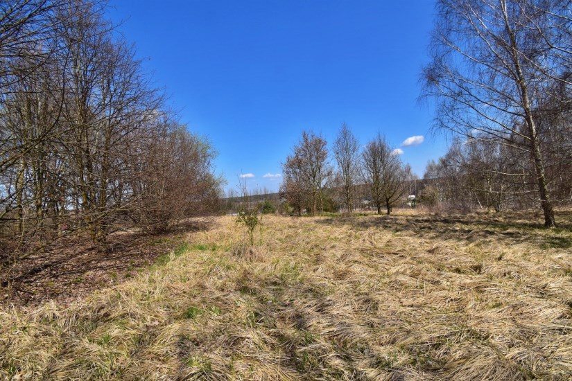 Działka Sprzedaż - świętokrzyskie, starachowicki, Wąchock