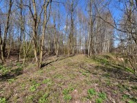 Działka Sprzedaż - świętokrzyskie, starachowicki, Wąchock