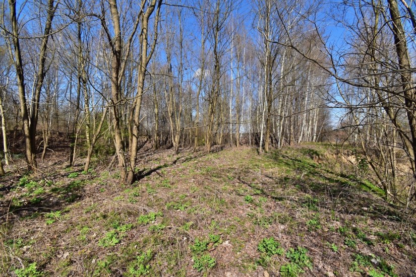 Działka Sprzedaż - świętokrzyskie, starachowicki, Wąchock