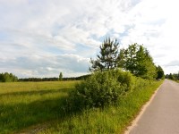 Działka Sprzedaż - świętokrzyskie, skarżyski, Bliżyn, Kucębów