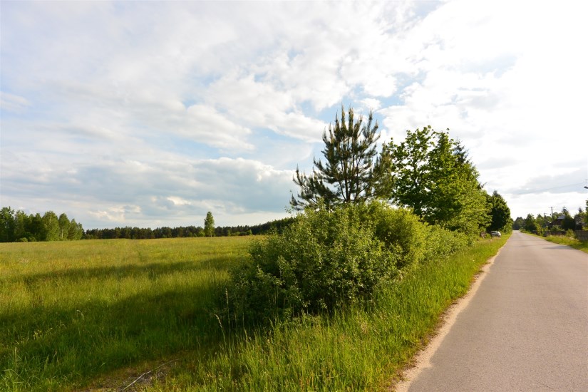 Działka Sprzedaż - świętokrzyskie, skarżyski, Bliżyn, Kucębów