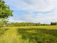 Działka Sprzedaż - świętokrzyskie, skarżyski, Bliżyn, Kucębów