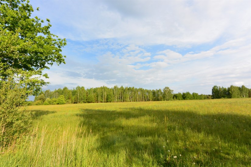 Działka Sprzedaż - świętokrzyskie, skarżyski, Bliżyn, Kucębów