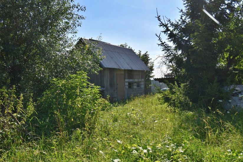 Dom Sprzedaż - świętokrzyskie, buski, Busko-Zdrój, Kotki
