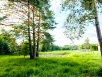 Działka Sprzedaż - świętokrzyskie, kielecki, Morawica, Bieleckie Młyny