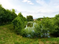 Działka Sprzedaż - świętokrzyskie, kielecki, Morawica, Bieleckie Młyny