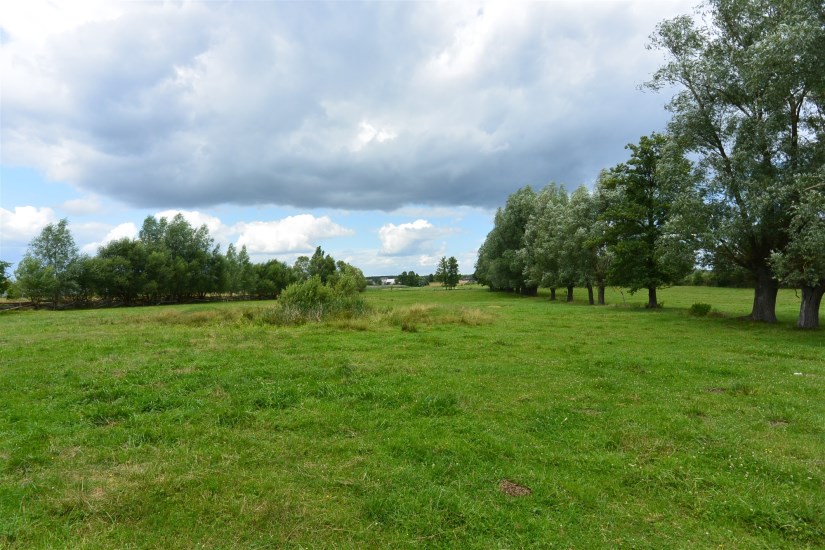 Działka Sprzedaż - świętokrzyskie, konecki, Słupia (Konecka), Pijanów