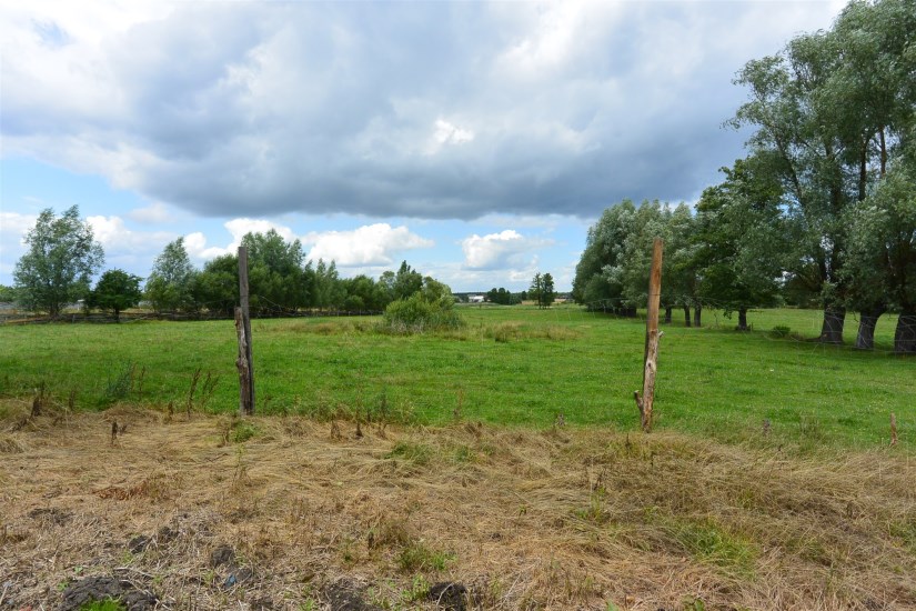Działka Sprzedaż - świętokrzyskie, konecki, Słupia (Konecka), Pijanów