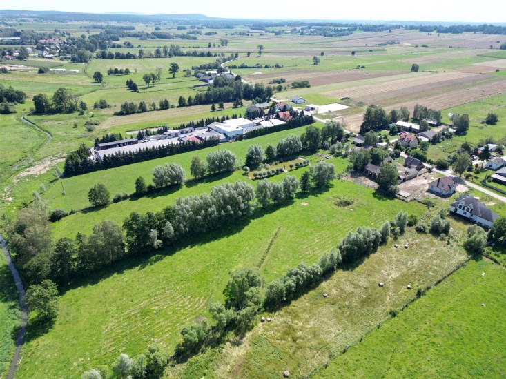 Działka Sprzedaż - świętokrzyskie, konecki, Słupia (Konecka), Pijanów