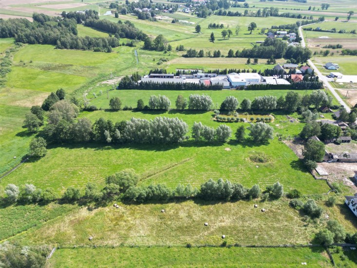 Działka Sprzedaż - świętokrzyskie, konecki, Słupia (Konecka), Pijanów