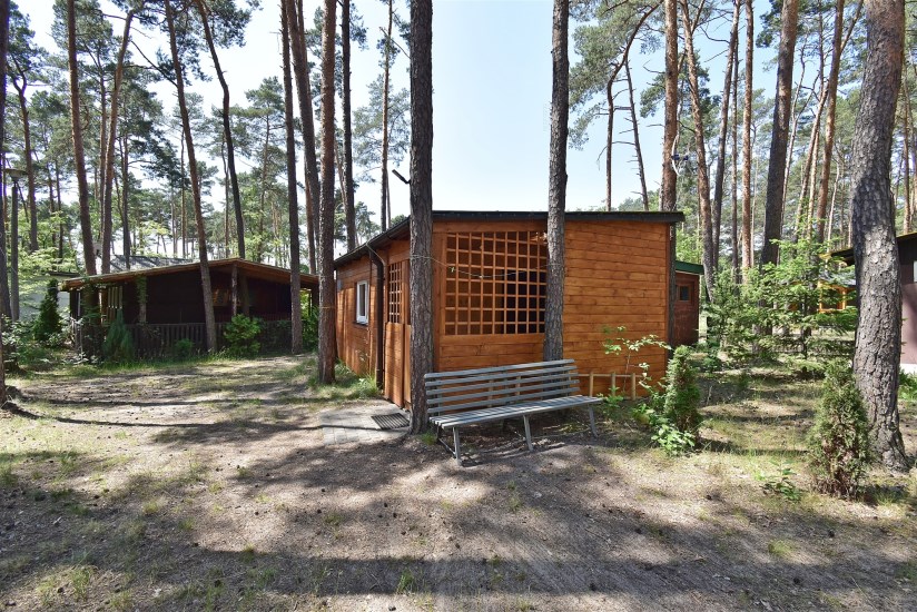 Dom Sprzedaż - świętokrzyskie, konecki, Końskie, Sielpia Wielka
