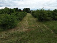 Działka Sprzedaż - świętokrzyskie, kielecki, Piekoszów, Jaworznia