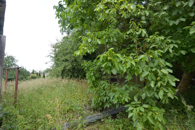 Działka Sprzedaż - świętokrzyskie, Kielce m., Kielce, Herby
