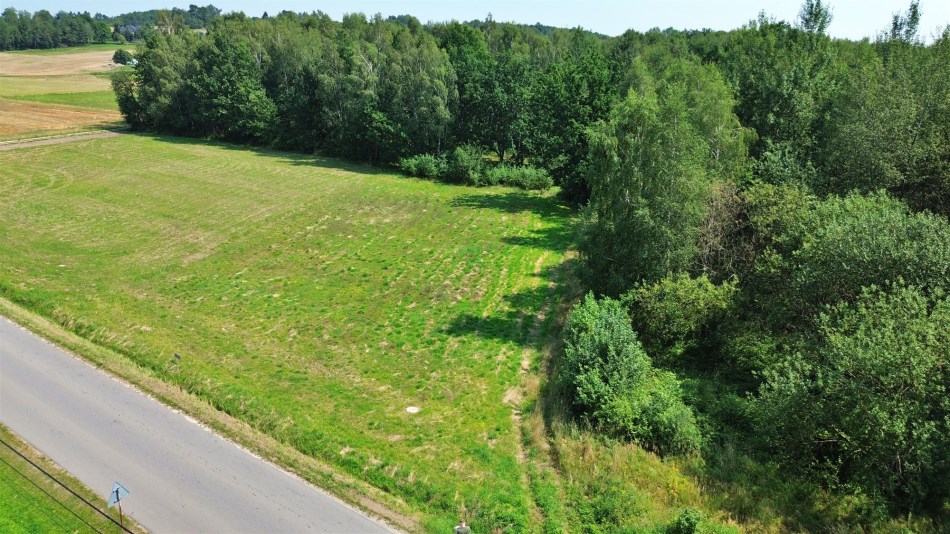 Działka Sprzedaż - świętokrzyskie, kielecki, Bieliny, Lechów