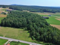 Działka Sprzedaż - świętokrzyskie, kielecki, Bieliny, Lechów