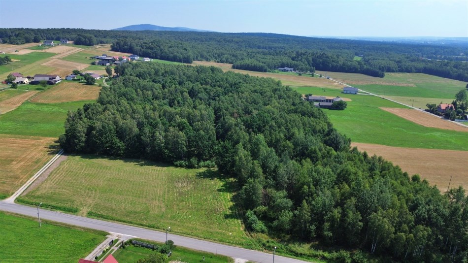 Działka Sprzedaż - świętokrzyskie, kielecki, Bieliny, Lechów
