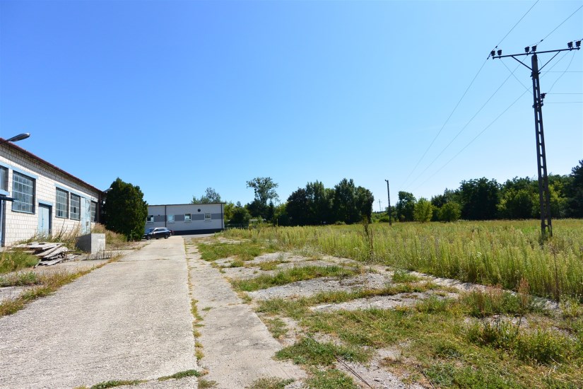 Hala Sprzedaż - świętokrzyskie, ostrowiecki, Ćmielów