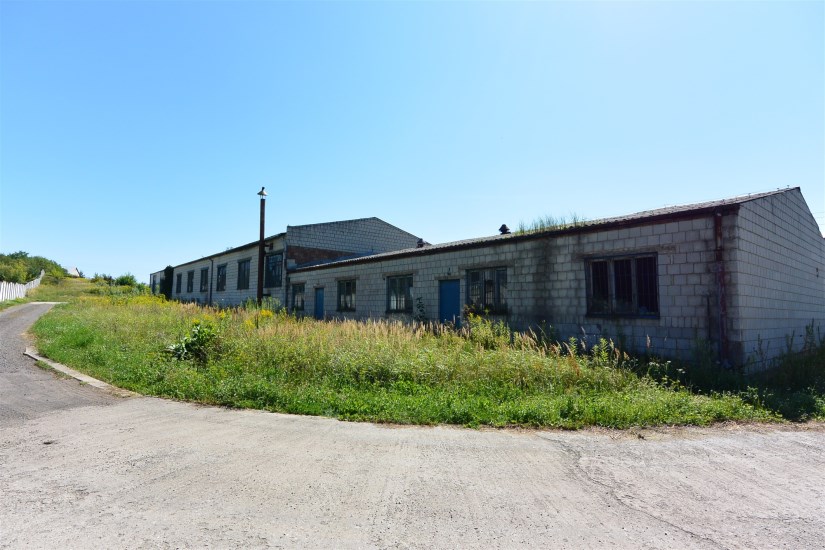 Hala Sprzedaż - świętokrzyskie, ostrowiecki, Ćmielów