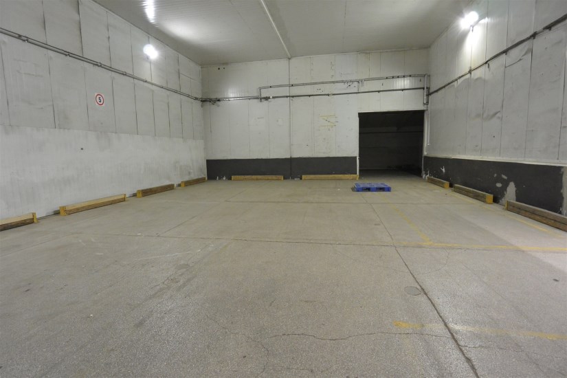 Hala Wynajem - świętokrzyskie, Kielce m., Kielce
