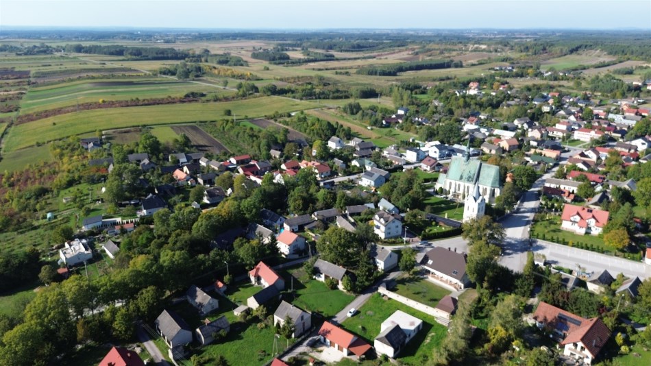 Działka Sprzedaż - świętokrzyskie, buski, Busko-Zdrój, Szaniec